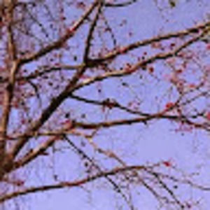 Meet your Posher, Sadanand